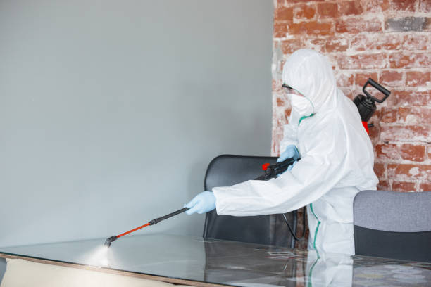 Best Emergency Mold Remediation  in Rigby, ID